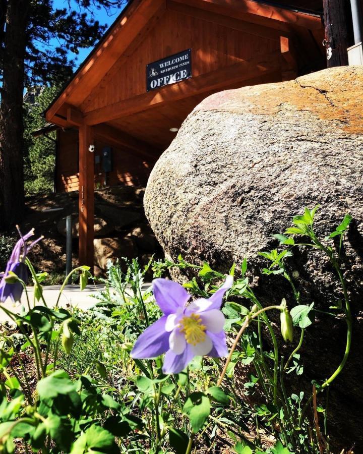 Riverview Pines Estes Park Exterior photo
