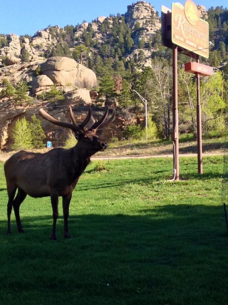 Riverview Pines Estes Park Exterior photo