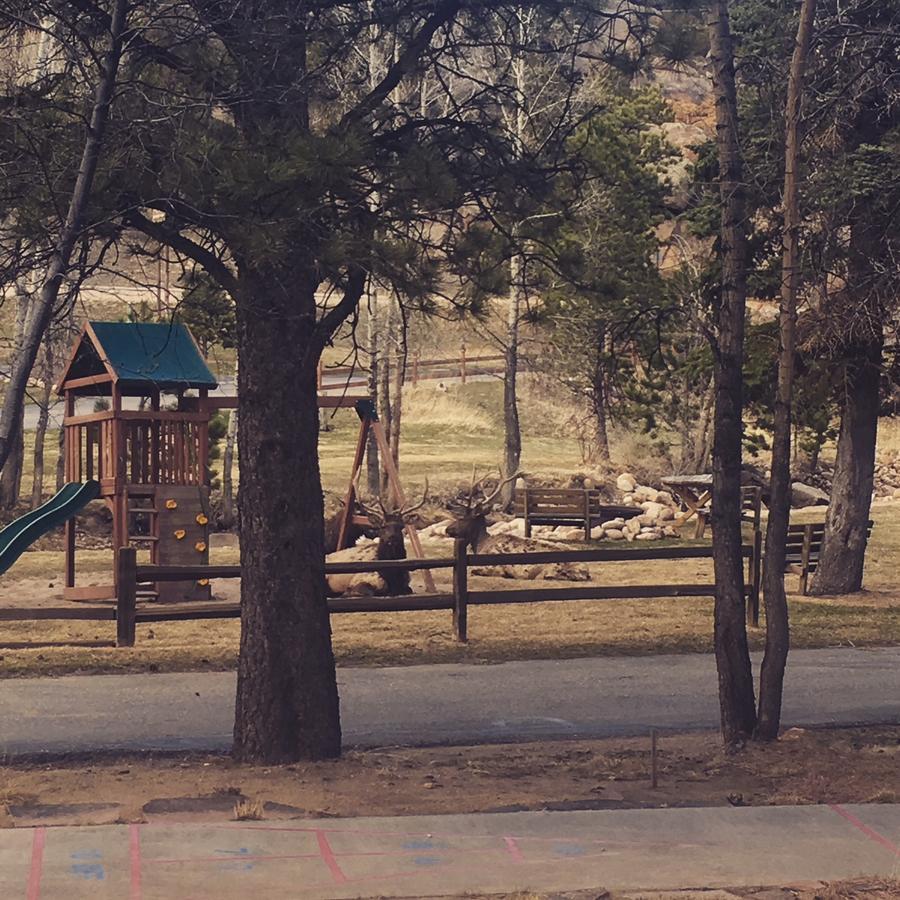 Riverview Pines Estes Park Exterior photo
