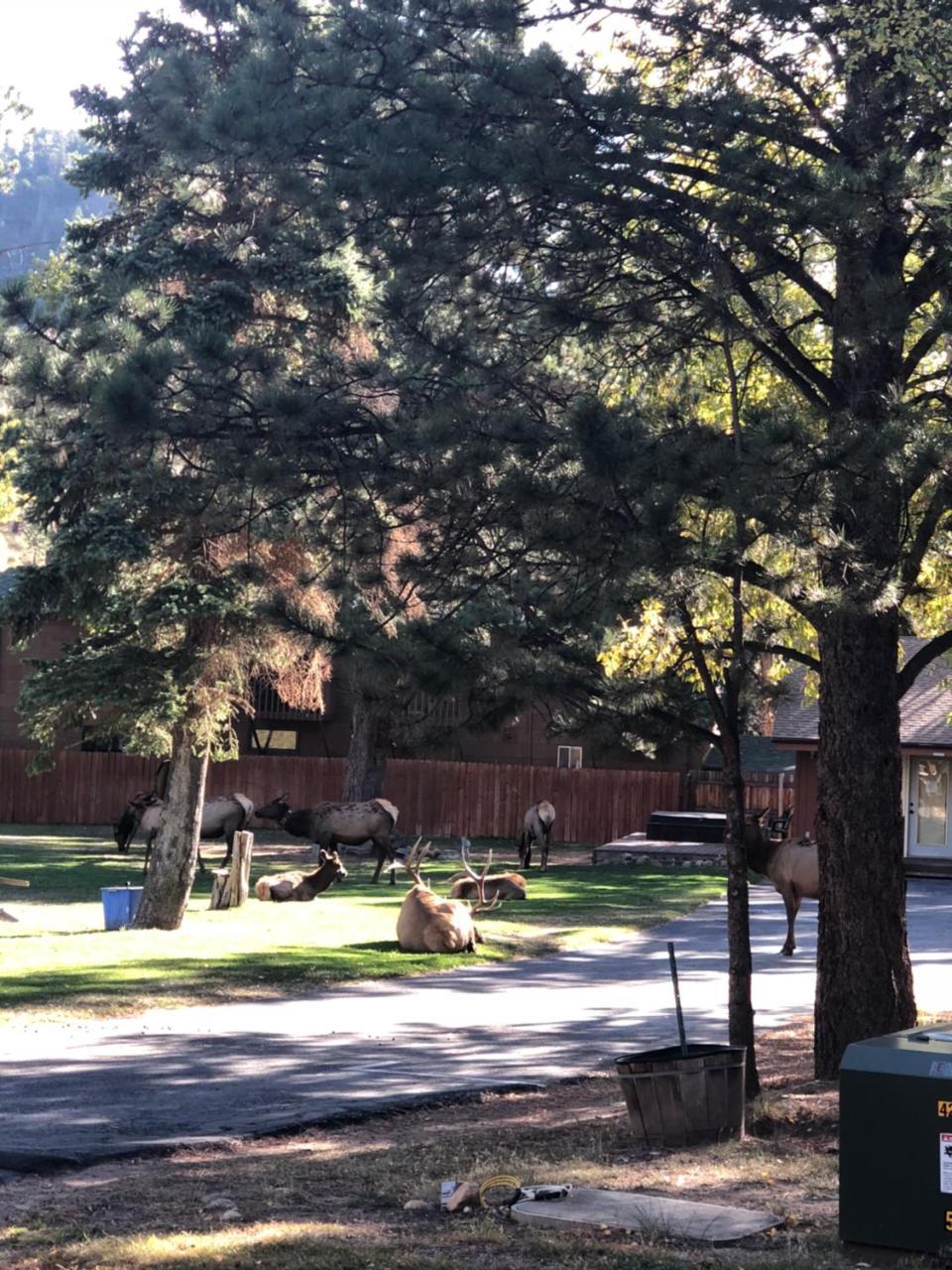 Riverview Pines Estes Park Exterior photo