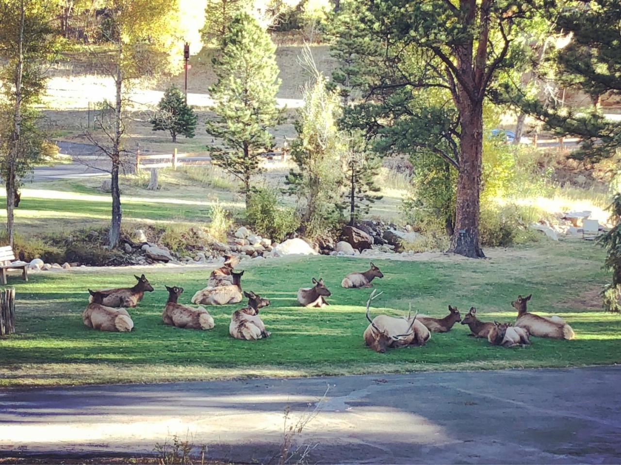 Riverview Pines Estes Park Exterior photo